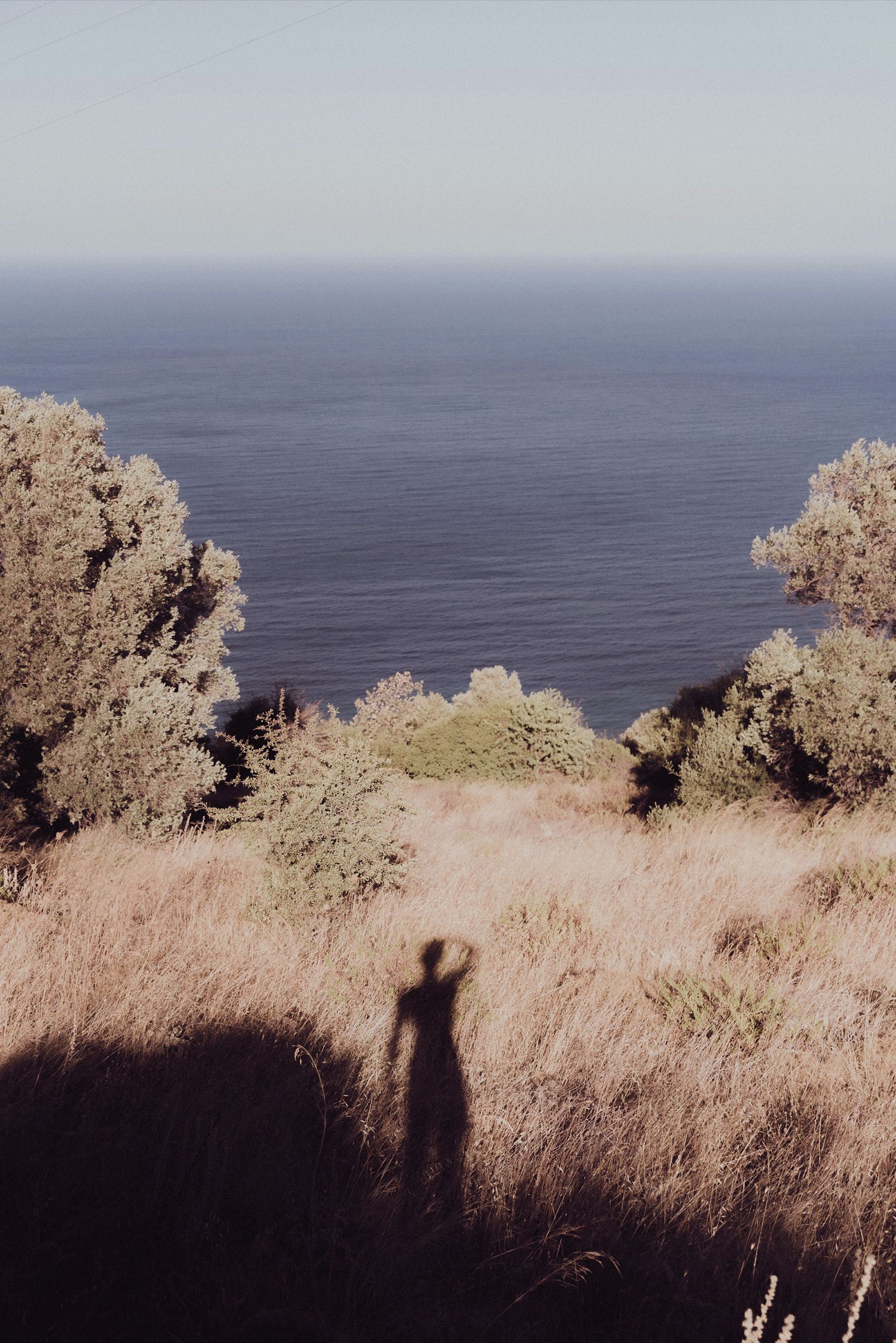 Blick aufs Meer durch Sträucher, Schatten eines Menschen im Gras
